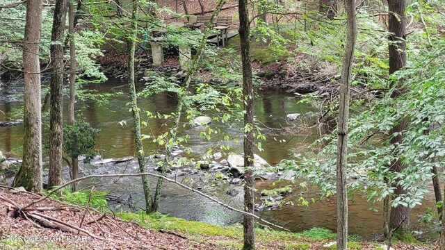 5926 Decker Rd, Bushkill, PA 18324 - photo 12