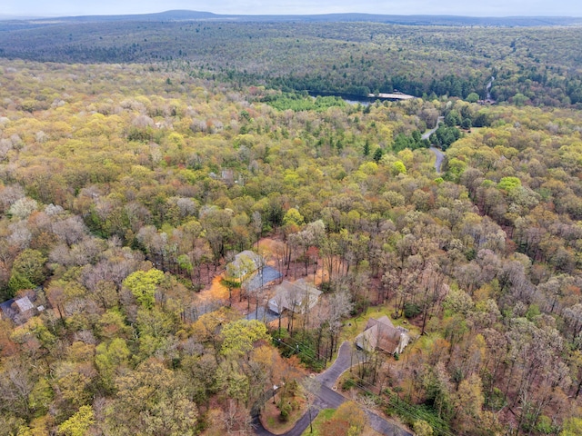 26 Susquehanna Dr, Jim Thorpe, PA 18229 - view of property location featuring a forest