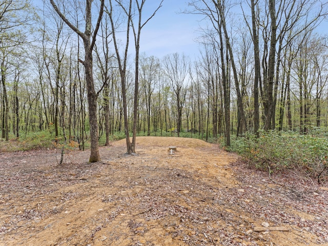 26 Susquehanna Dr, Jim Thorpe, PA 18229 - view of tree filled area