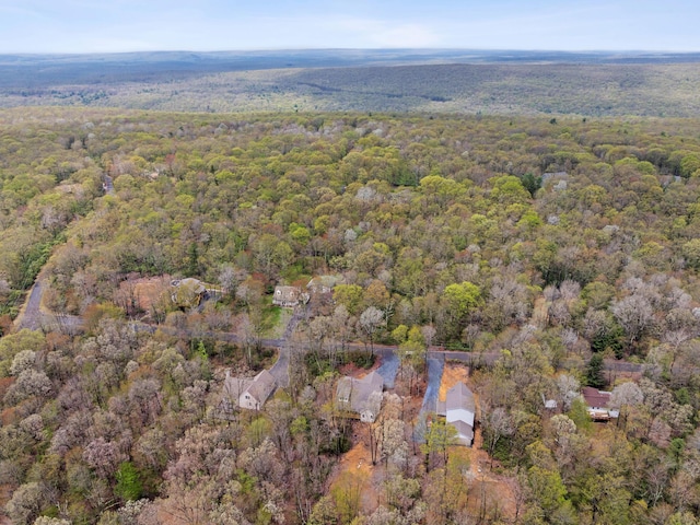 26 Susquehanna Dr, Jim Thorpe, PA 18229 - view of property location featuring a heavily wooded area