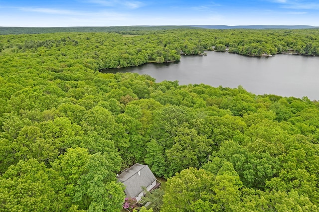 1221 Alder Rd, East Stroudsburg, PA 18302 - aerial view of a heavily wooded area and a large body of water