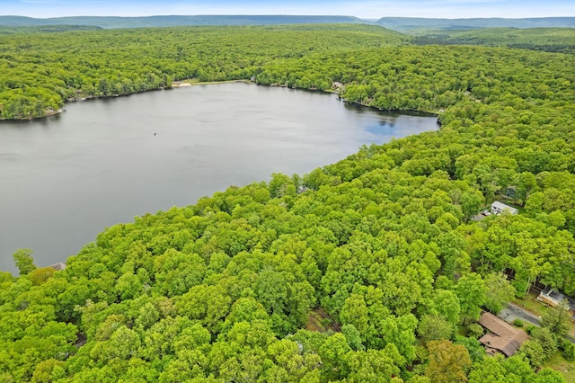 1221 Alder Rd, East Stroudsburg, PA 18302 - drone / aerial view of a forest and a large body of water
