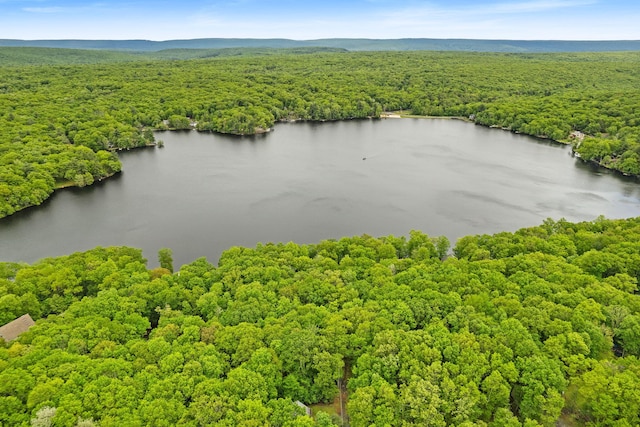 1221 Alder Rd, East Stroudsburg, PA 18302 - drone / aerial view of a heavily wooded area and a nearby body of water