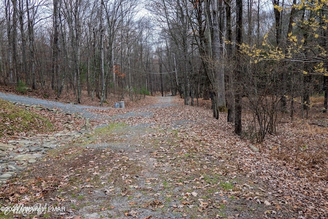 Hidden Holw, Hawley, PA 18428