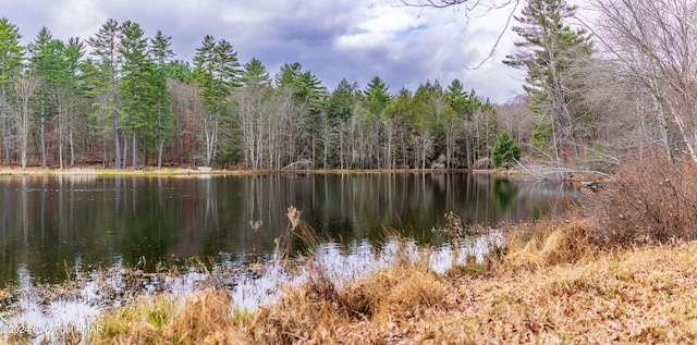 Hidden Holw, Hawley, PA 18428