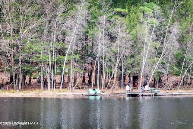 Hidden Holw, Hawley, PA 18428