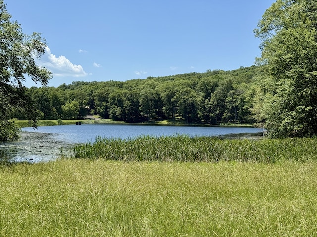 459 Pocono Blvd, Bushkill, PA 18324 - water view with a heavily wooded area