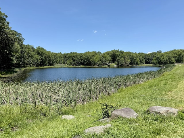 459 Pocono Blvd, Bushkill, PA 18324 - water view featuring a forest