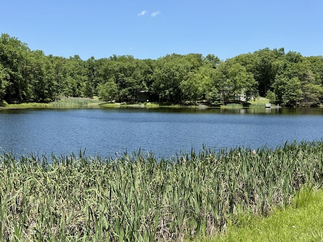 459 Pocono Blvd, Bushkill, PA 18324 - water view featuring a heavily wooded area