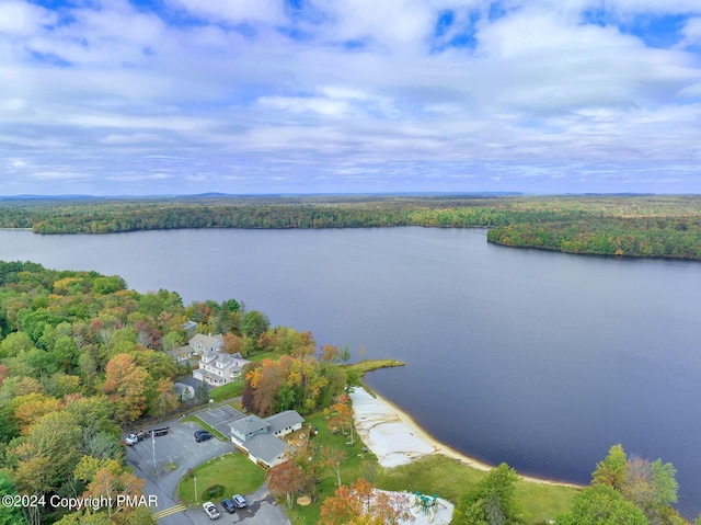 368 Stillwater Dr, Pocono Summit, PA 18346