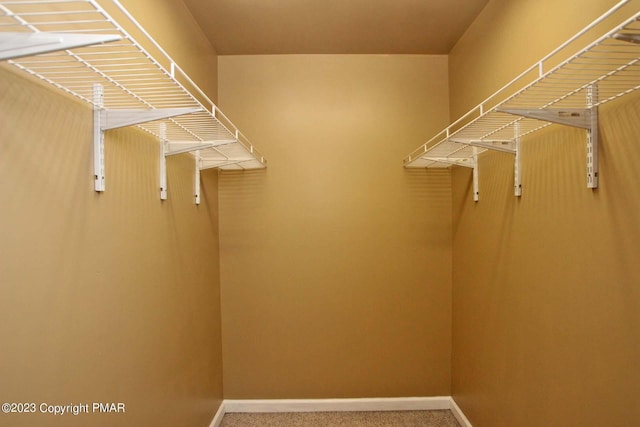 158 Davis Cir, Bushkill, PA 18324 - view of walk in closet