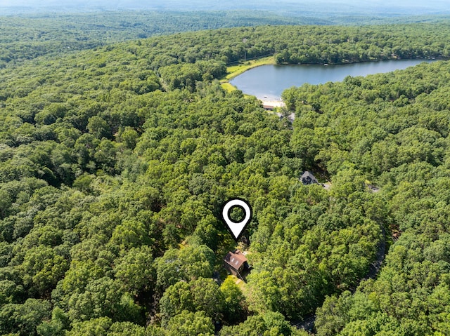 130 Ruffed Grouse Rd, Bushkill, PA 18324 - bird's eye view of a forest and a nearby body of water