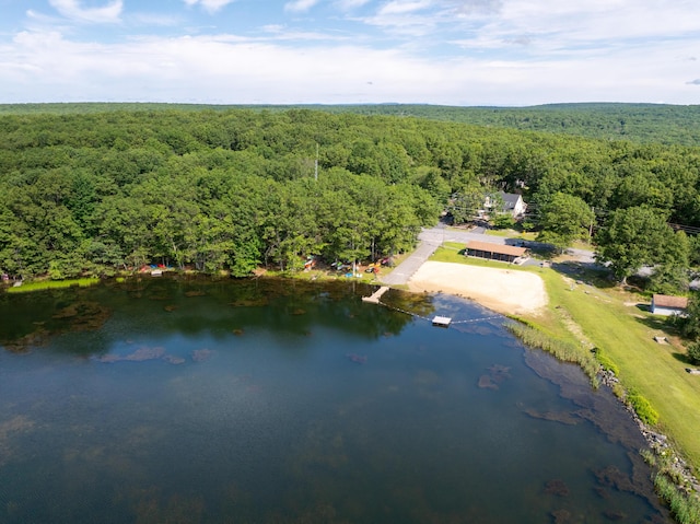 130 Ruffed Grouse Rd, Bushkill, PA 18324 - bird's eye view of a forest and a nearby body of water