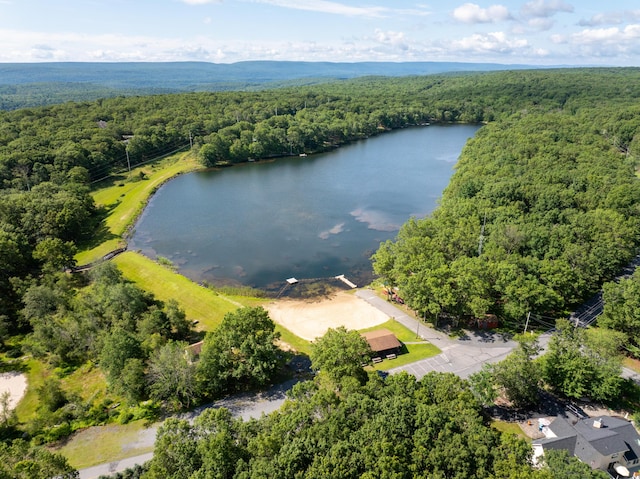 130 Ruffed Grouse Rd, Bushkill, PA 18324 - drone / aerial view of a nearby body of water