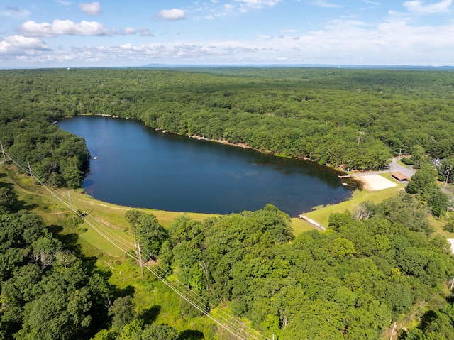 130 Ruffed Grouse Rd, Bushkill, PA 18324 - bird's eye view of a large body of water