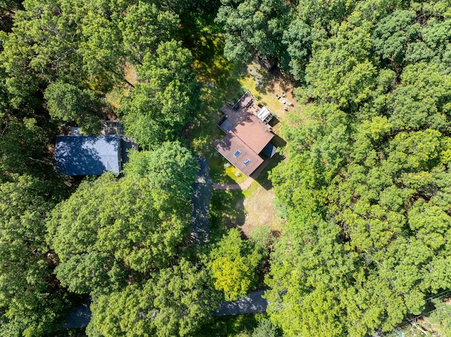 130 Ruffed Grouse Rd, Bushkill, PA 18324 - bird's eye view