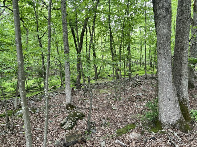 5079 Yukon Dr, East Stroudsburg, PA 18302