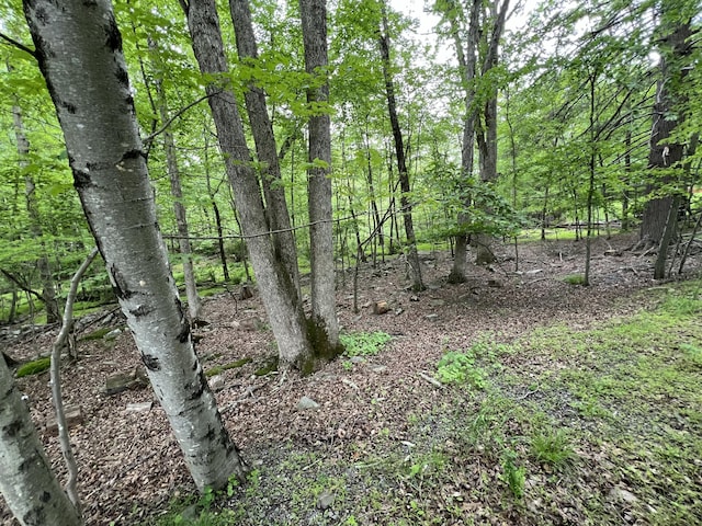 5079 Yukon Dr, East Stroudsburg, PA 18302