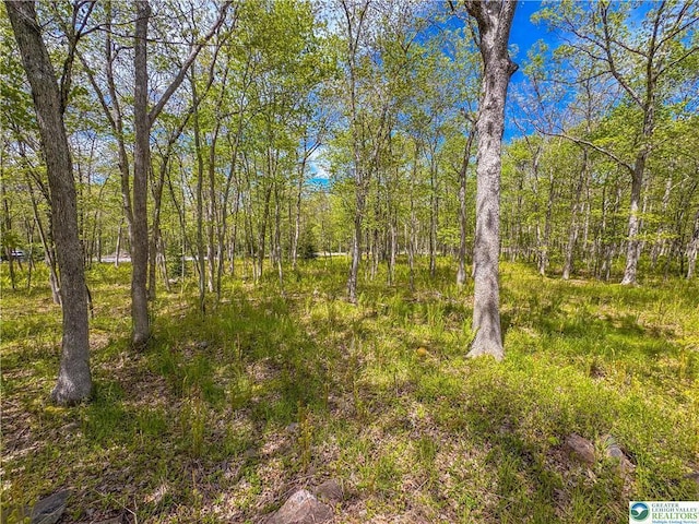 LOT567 Cross Run Rd, Jim Thorpe, PA 18229