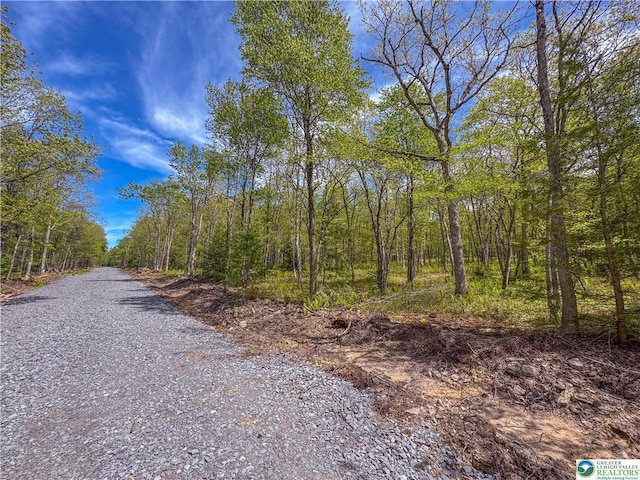 LOT567 Cross Run Rd, Jim Thorpe, PA 18229