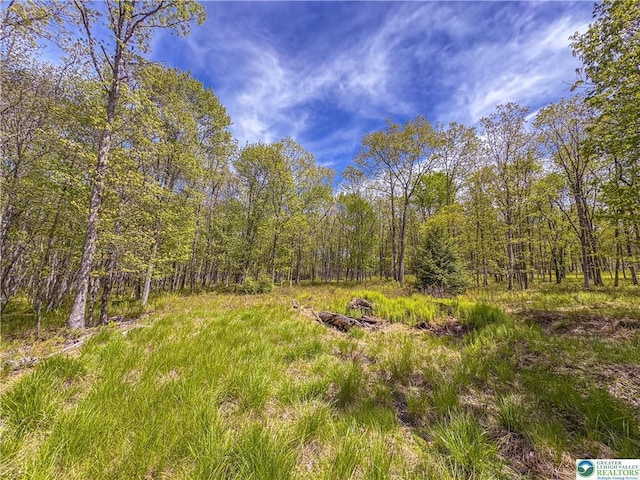 LOT567 Cross Run Rd, Jim Thorpe, PA 18229