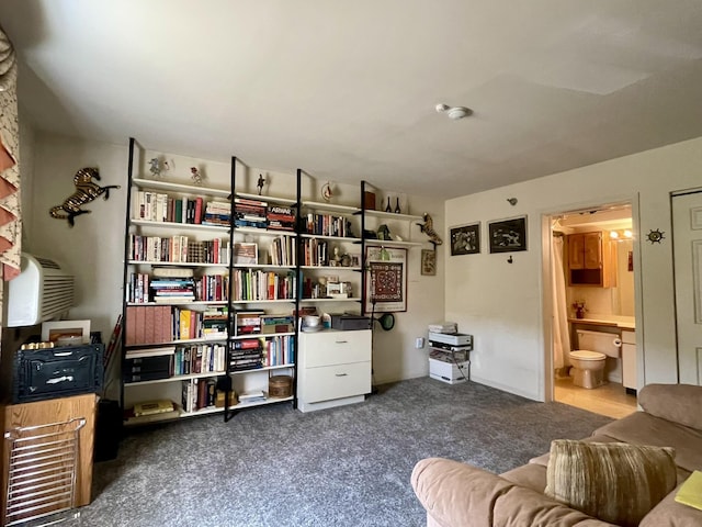 sitting room featuring carpet