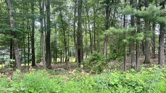 LOT609 Mikes Rd, Bartonsville PA, 18321 land for sale