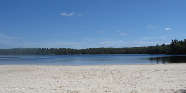 1061 Crestwoods Dr, Pocono Pines, PA 18350 - photo 23