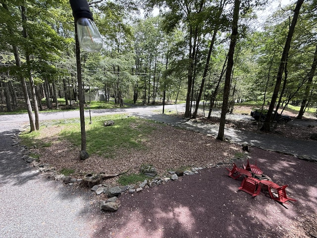 1827 Stag Run, Pocono Lake, PA 18347 - view of yard