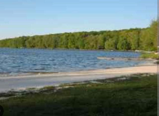 156 Big Bass Dr, Gouldsboro, PA 18424 - photo 24