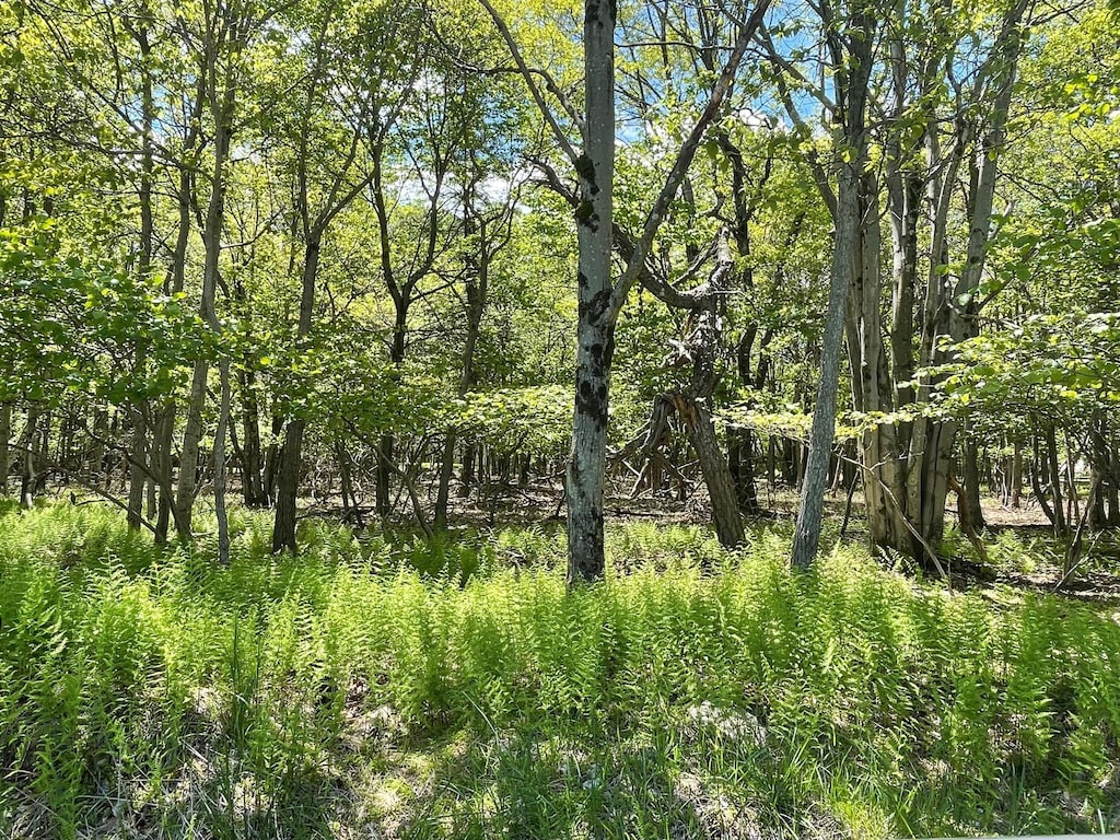 EV805 Stony Mountain Rd, Albrightsville, PA 18210