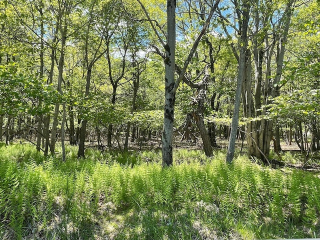EV805 Stony Mountain Rd, Albrightsville, PA 18210
