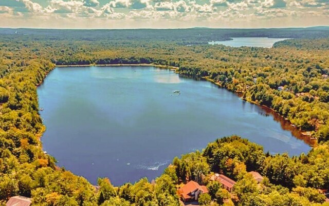 aerial view with a water view and a view of trees