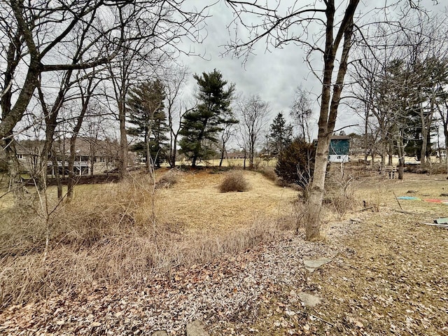 190 Carverton Rd, Trucksville, PA 18708 - view of local wilderness