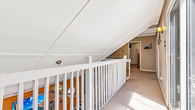 hallway featuring carpet flooring