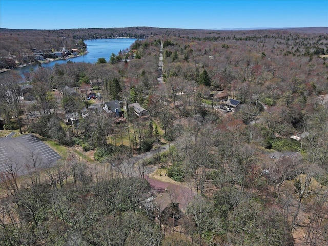 drone / aerial view with a water view and a view of trees