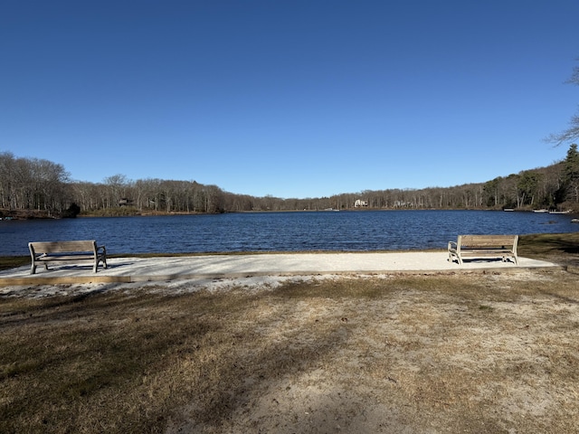 view of water feature with a forest view