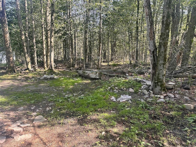 9050 Idlewild Dr, Tobyhanna, PA 18466 - photo 22