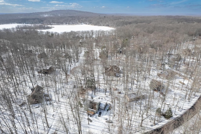 snowy aerial view featuring a mountain view