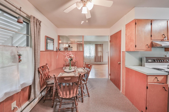 60 Maple Dr, Palmerton, PA 18071 - carpeted dining room with a ceiling fan and baseboard heating
