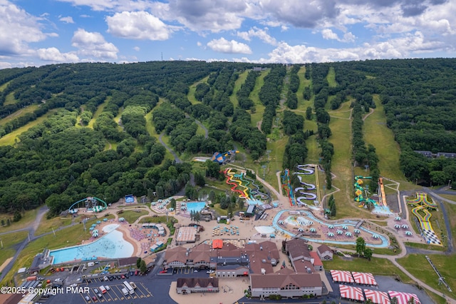 bird's eye view featuring a view of trees