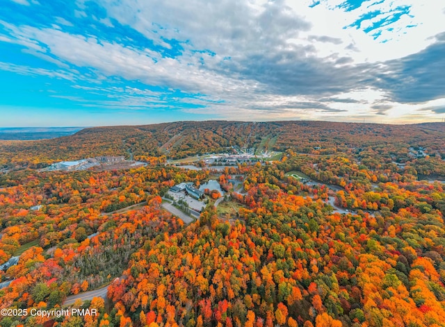 birds eye view of property featuring a mountain view