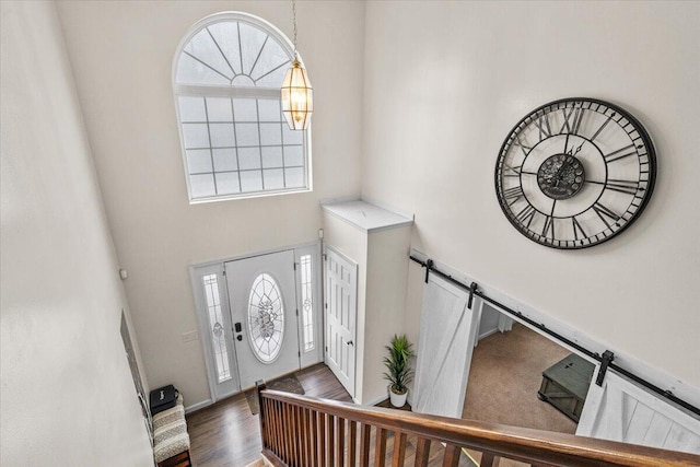 entryway featuring wood finished floors, plenty of natural light, and a towering ceiling