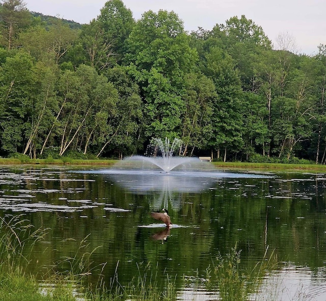 3221 Windermere Dr, Bushkill, PA 18324 - water view with a heavily wooded area