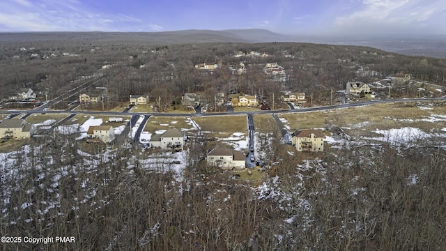 bird's eye view with a mountain view