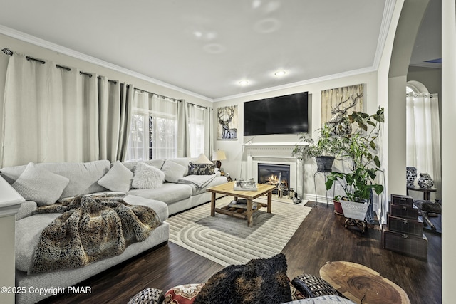 living room featuring hardwood / wood-style flooring and ornamental molding