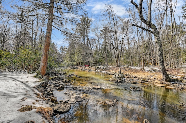 view of local wilderness featuring a wooded view