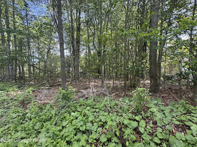 2159 Birchwood Blvd, Pocono Summit PA, 18346 land for sale