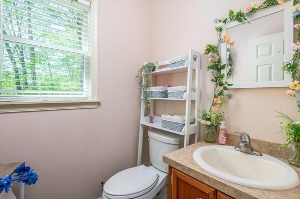 bathroom with toilet and vanity