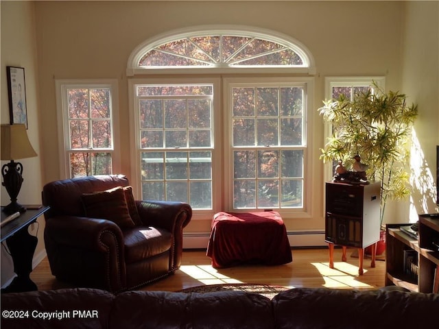 interior space featuring a baseboard heating unit and wood finished floors